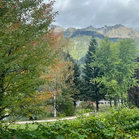 Arolles, 2 Bedrooms Apartment, View Mont Blanc, Parking Шамоні
